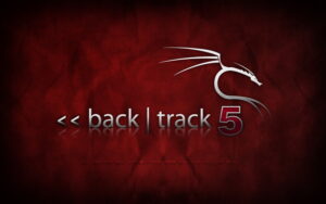 Backtrack_5_resize